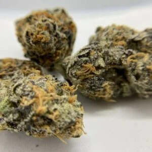 GRANDFLORIA_GENETICS_E85_FLOWER_3_GENETICS_FANATICS
