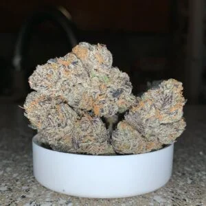 COCO_CHANEL_BREEDER_CUT_NEW_GENETICS_FANATICS