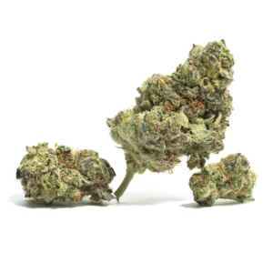 2090_SHIT_FLOWER_1_COOKIES_CUT_GENETICS_FANATICS